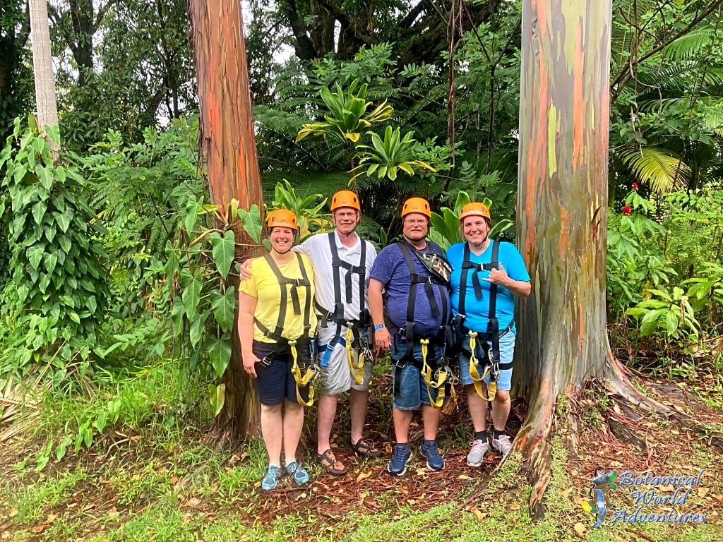 A family ziplining through a tropical jungle